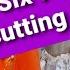DIY Clothes Six Cut Up T Shirt Ideas For Summer