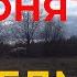Катались на Вездеходе Белый Лис Гуси Череп Не понятный объект возможно артиллерийский снаряд