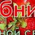 33 Года Свадьбы Поздравление с Клубничной Каменной Свадьбой Прикольная Красивая Открытка в Стихах