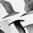 Dubstep Son Lux Flickers Zeds Dead Remix