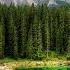 Moorland Songs Farewell To Ennerdale Water Relaxing Irish Music Scandinavian Music For Relax