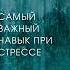 Что делать когда стресс анастасияпономаренко стресс