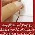 Kon Kon Like Kre Ga Or SubhanAllaha Likhe Ga Truelines Juma Kaba Islamic Makkah Viral Honeymoon