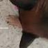 Rex Che Lecca I Piedi