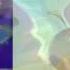 6 Shuric Scan