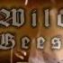 WILD GEESE ДИКИЕ ГУСИ Пасынки Мошкова Old Barrels Band 2014г
