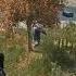 DayZ Правильный Дед Матершиник Dayz мат дейз Shorts летсплей