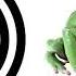 Frog Croaking Sound Effect ProSounds