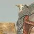 God Of War Son Arzu