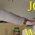 Thank You Refrigerator Joe Pera Talks With You Adult Swim