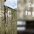 Willie Nelson Satisfied Mind Lyric Video