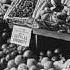 Stories From The Great Depression