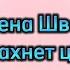 Алена Швец Ветер пахнет цветами Текст