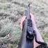 охота на лису с идеальным выстрелом охота Huntingrussia Wildhunting Wildlife Foxhunting Natur