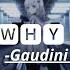 1 HOUR Why Why WHY Gaudini HVME Dynoro