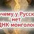 Почему У Русских Нет Монгольских Генов Иго Монголы Русь Чингисхан