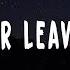 Avicii Never Leave Me Lyrics Ft Joe Janiak