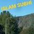 ISLAM SUBHİ اسلام صبحي भ रत मज Shorts Music Shorts