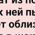 Пьяный Зять и Тещины Пальцы Сборник Свежих Смешных Жизненных Анекдотов