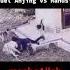 Anjing Vs Manusia