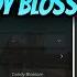 HOW TO BUY CANDY BLOSSOM AND HOW TO FIND OLD SERVER Grow A Garden Script Easy Tutorial