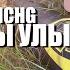 SPIDERMANCHG ПОРА БЫ УЛЫБАТЬСЯ HENSY