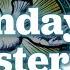 Catholic Mass Today 6th Sunday Of Easter 25 May 2025 Bishop Greg Homeming Lismore