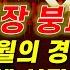 BITX 장기투자 주식시장 붕괴 조짐 파월의 경고 패닉셀 시작되나 BITX BTGD MSTU TSLL CONL 경제적자유ㅣ확실한 노후준비ㅣ야심매매법