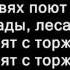 283 Радуйся мир Господь грядет