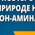 Русские поэты о Родине родной природе обзор Н А Оцуп З Н Гиппиус Дон Аминадо И А Бунин