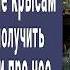 Чтобы поскорей заполучить наследство дети бросили 80 летнюю мать в подвал к крысам А через 3 дня