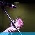 Carson Lueders Remember Summertime LIVE In Dallas