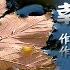 幸福是啥物