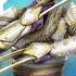 Who Became The Lynx From Shadow Fight 2 Part 2 Shorts