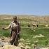 Lran Nomadic Life A Journey To The Lush Mountains Of Iran On The Impassable Routes Of The Zagros