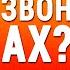 Шум и звон в ушах и в голове Причины Как просто и быстро избавиться от них 5 простых упражнений