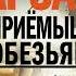 Тарзан приёмыш обезьян Эдгар Райс Берроуз Аудиокнига