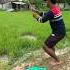 Village Boy Catching Fish In The Filed Using Fishing Rods By Hook Fishingvideo Shortvideo Bass