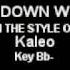 Way Down We Go In The Style Of Kaleo Karaoke With Lyrics