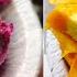 Delhi Famous Kuremal Fruits Ice Cream Rs 250 L Delhi Street Food