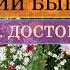 Дмитрий Быков про Ф М Достоевского