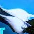 Is America S Military Dominance Of The Skies Heading For The Danger Zone