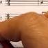 Music Theory Grade 1 Distinction 12 Anacrusis