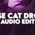 Universe Cat Drowning Endless Kikuo Edit Audio