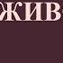 Медитация Дыхание животом Are You Belly Breathing