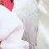 全民直播 梦蝶小公举 日常吃喝玩乐生活视频 性感美女 2019 1 4 14