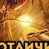 Голодные игры Баллада о певчих птицах и змеях 8 отличий Фильма от Книги