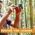 Behind The Scenes Behindthescenes Behi