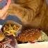Я люблю вкусный еда