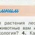 Окружающий мир 3 класс ч 1 тема урока Лес волшебный дворец с 98 103 Перспектива